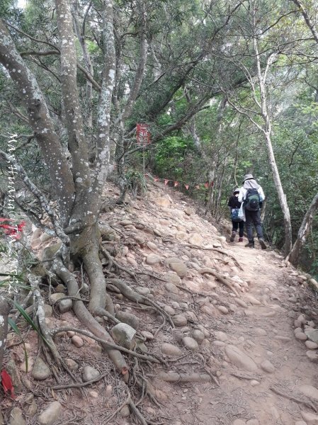 《苗栗》心靈之旅｜火炎山步道O繞南鞍古道201804212890644