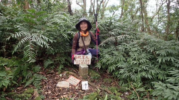  傑士嶺-伏獅山-九芎坑山古道O型連走178992