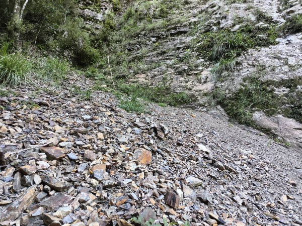 [玉山尋寶任務-07/12] 2025_0824 八通關雲龍瀑布步道2870611