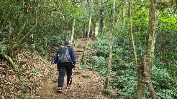 2021-1202 馬那邦山O型1535342