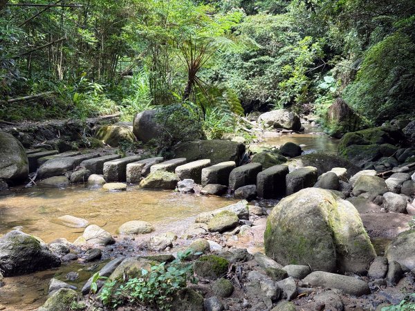 四寮溪生態步道2828548