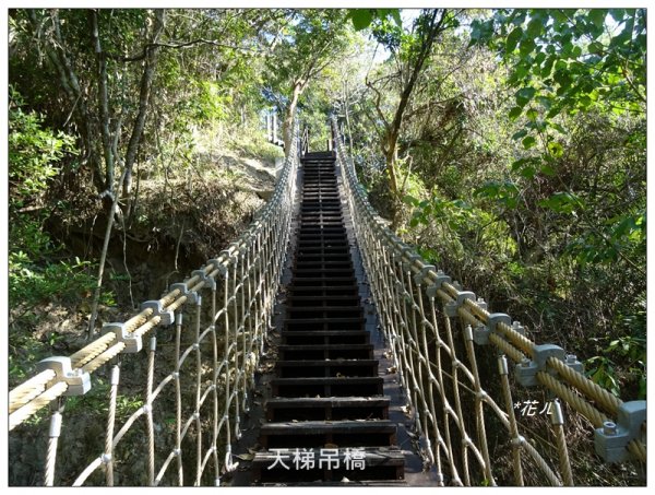 楓仔林/草嶺觀景步道封面