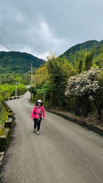 楓樹湖古道、天元宮2809337