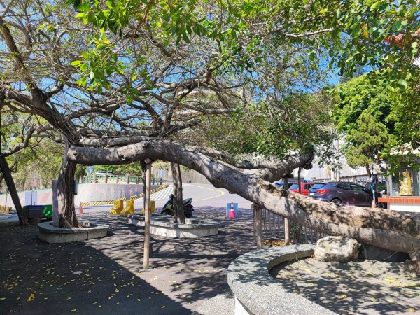 大崗山-小百岳#74-高雄市阿蓮區2486134