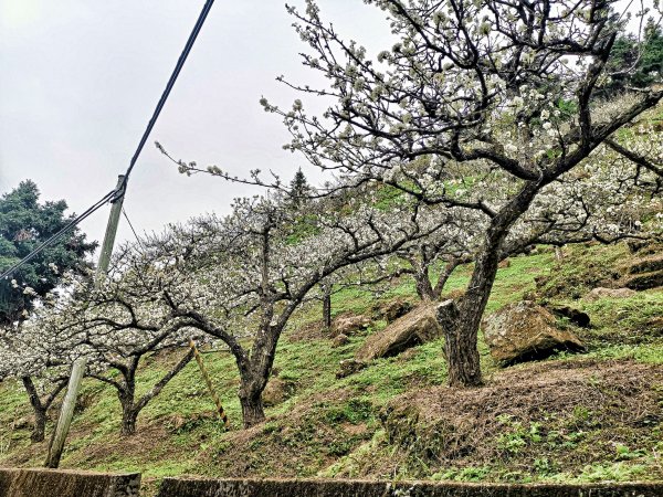 馬那邦山-小百岳-編號0371383041