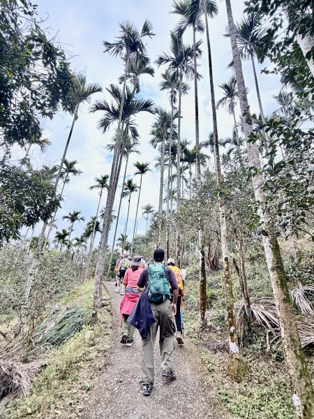 二尖.大尖山悠遊--好友再聚的茶園餘韻   2026.01.182985468