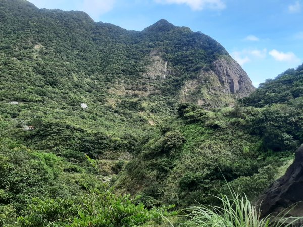 金瓜石，與奈良美智的詩意邂逅2883175