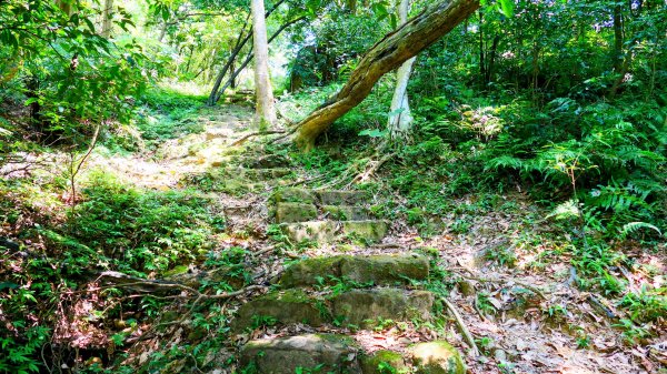 五堵獅頭山3096314