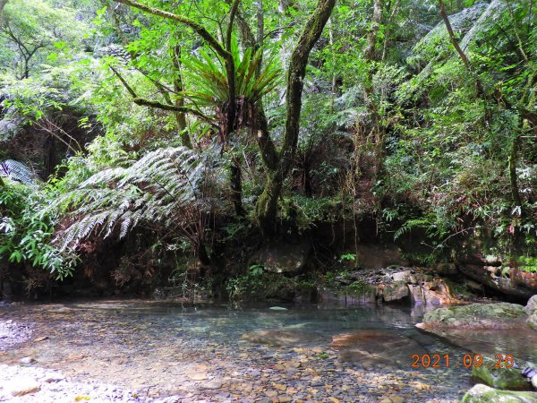 新北 坪林 四堵古道(石牌縣界公園段)1469856