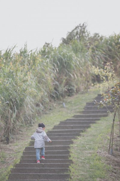 20200411-五分山步道918742