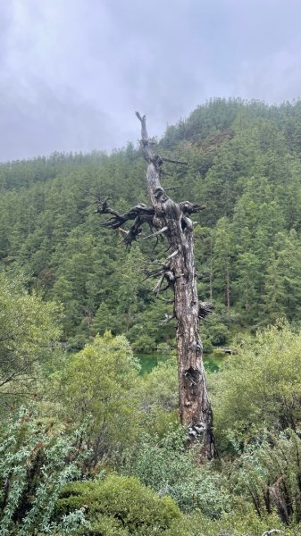 川藏深度之旅33天/A行程2901421