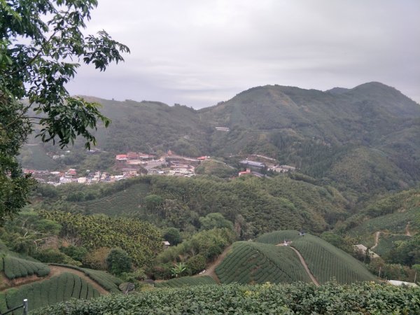 雲嘉七連峰1560714