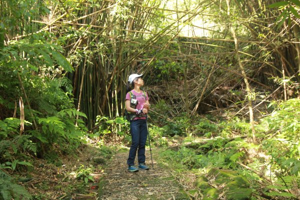 淡蘭古道北路坐山望海1253902