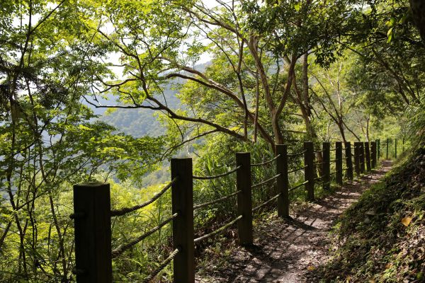 瓦拉米：登山口至山屋178694