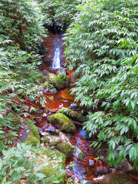 台北抹茶山：登小觀音山群峰眺望全台最大火山口2422038