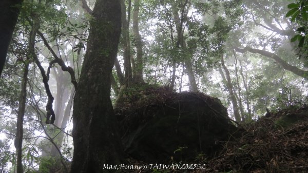 《雲林》望好望角｜石壁山嘉南雲峰步道(中側登山口）202506072805506