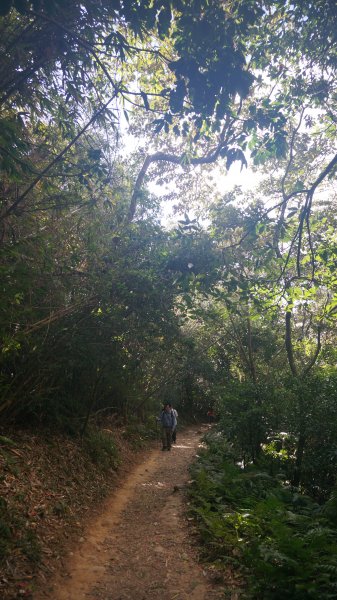 飛鳳山+石壁潭生態步道1189495