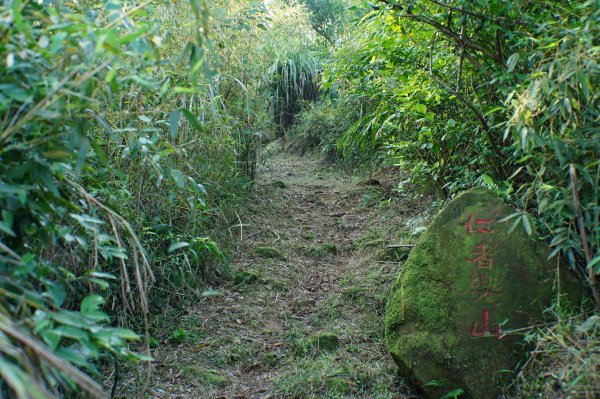 新北 貢寮 大石壁坑山、五酒桶山、龍崗山2980858