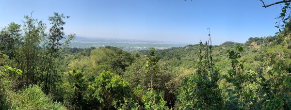 20250322南投松柏坑山-大棚山2745862