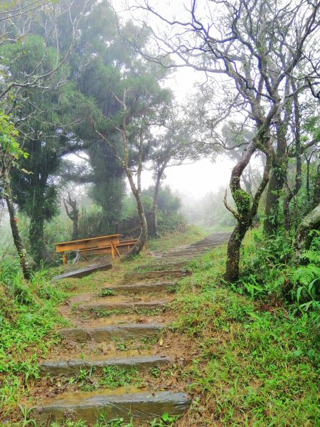 基隆七堵~雨霧中散步。 #小百岳姜子寮山867756