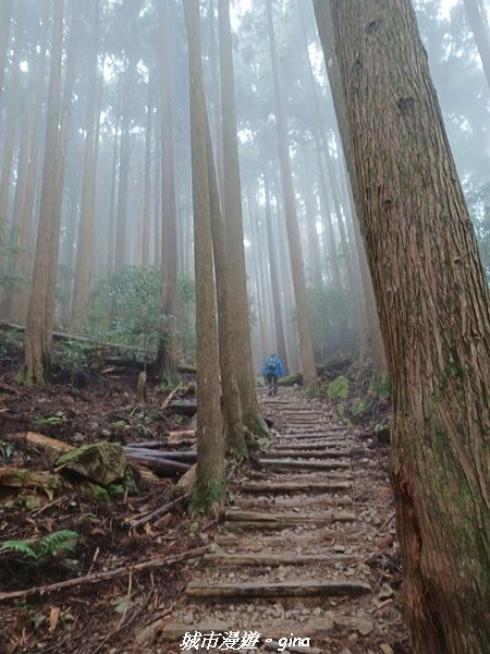 【苗栗南庄】裊裊雲霧台版富士山。 小百岳集起來。編號 34小百岳~加里山。 【台灣小百岳】 我玩登了1902988