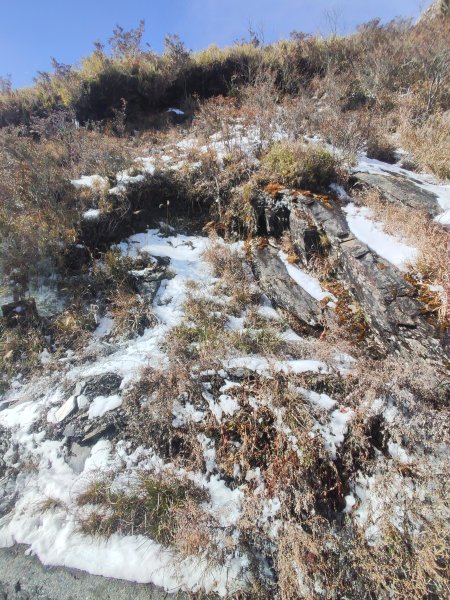 合歡山昆陽2701217