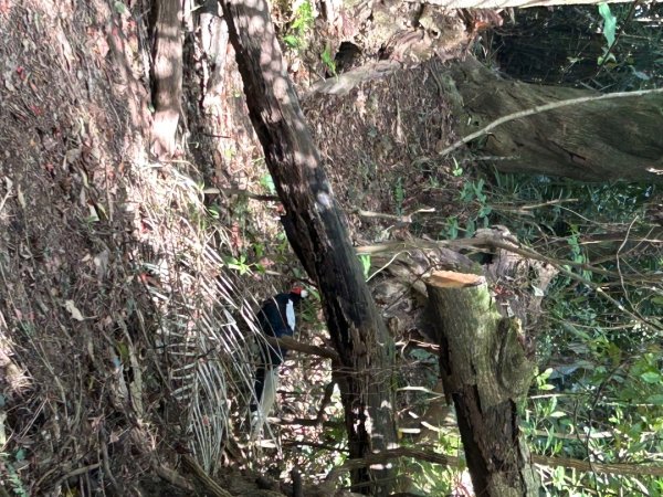 溪州山 石門山2763505