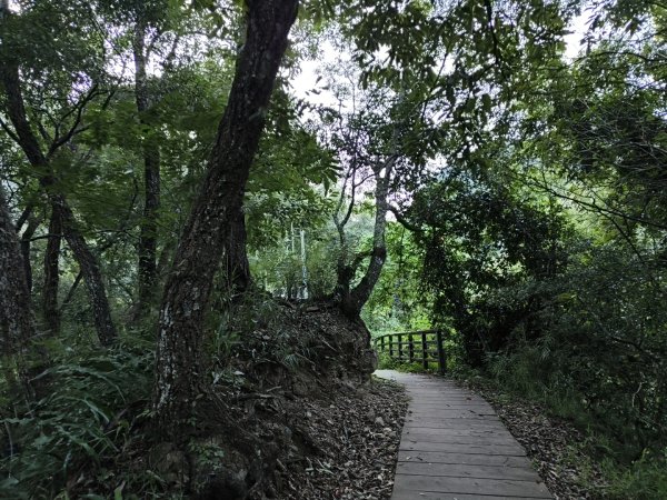 [玉山尋寶任務-07/12] 2025_0824 八通關雲龍瀑布步道2870409