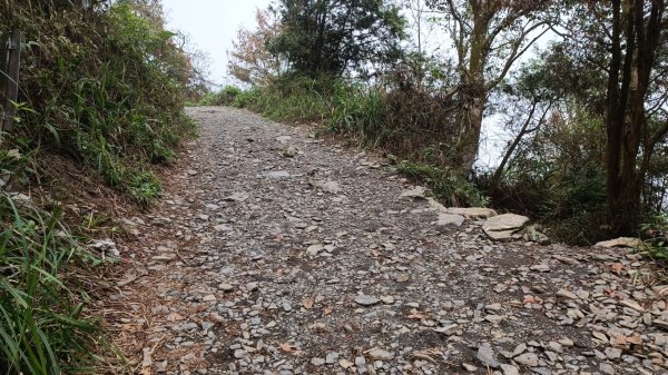 西大武山登山步道2125431