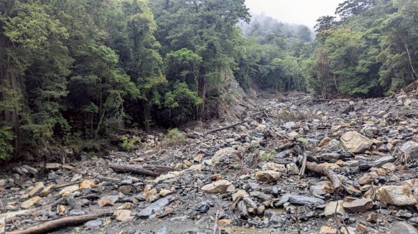 司馬庫斯巨木步道2861082