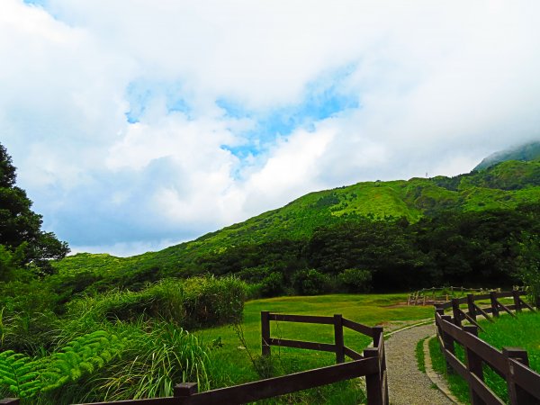 寂靜山徑：世界首座都會寧靜公園1122094