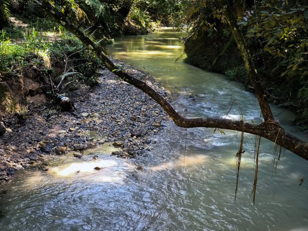 2024-08-22 澀水森林步道2578388