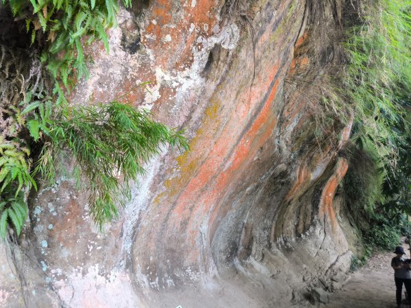 20250824鳶山彩壁2868536