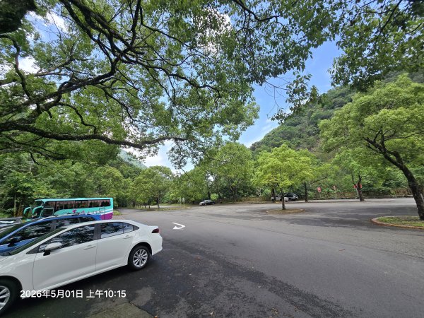 2026-05-01鳥嘴山(上島山)步道3046802