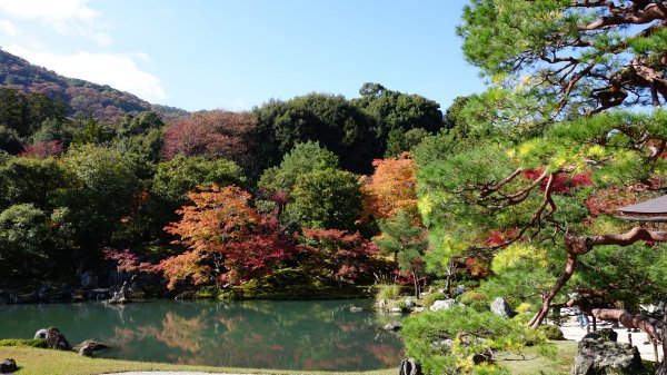 日本京都嵐山651942