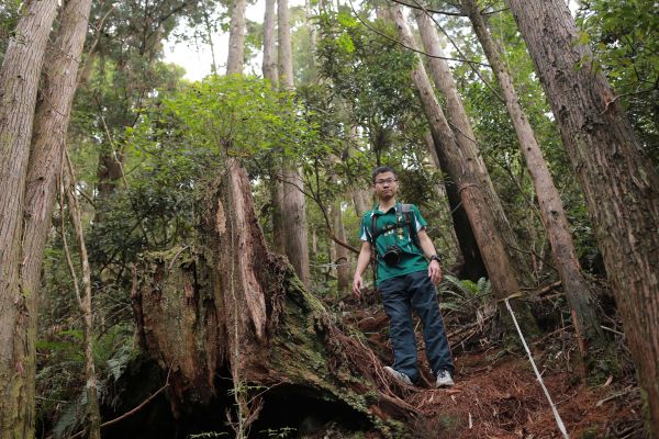 橫嶺山：連走沙連山281435