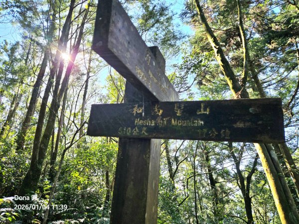 20260104源茂山.源茂山西峰.和尚髻山O走+親水觀魚步道2977727