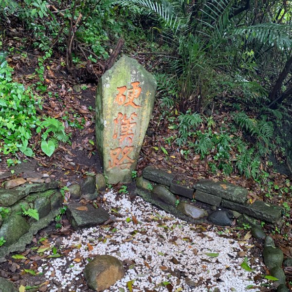 20260425觀音山3045672