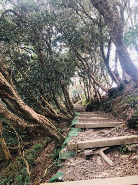 2019/03/02 北大武542002