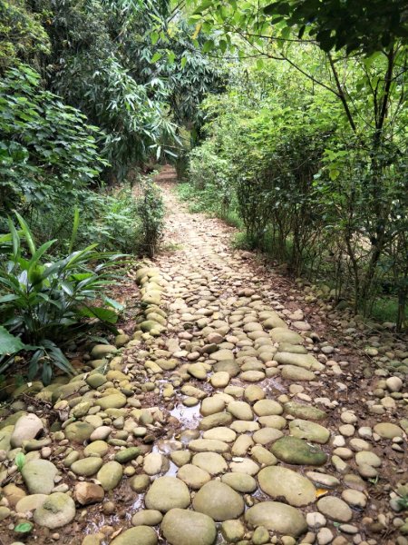 瑞井步道1440890