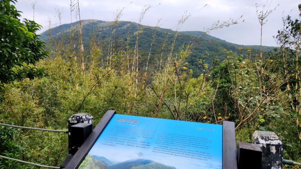 皇帝殿，獅公髻尾山，指南宮千階步道（竹柏參道），十六分山，貓空尖，絹絲瀑布步道2394556