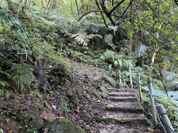 2025微笑山線大縱走尋寶集章任務-Ep.04【天上山系】望月亭桐花段｜石門內尖山東峰 ×石門內尖山2979087