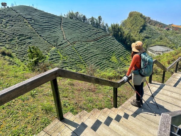 溪頭六連峰O繞2741745