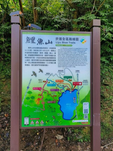花蓮-鯉魚山3054497
