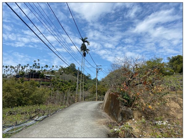 大堀底山 (穿霧隘勇線)3023648