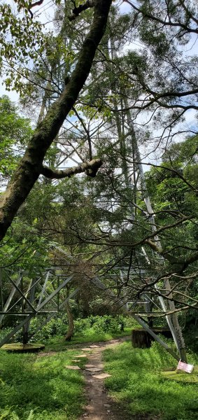 2020-05-30圓通寺登山步道(南勢角山)1386287