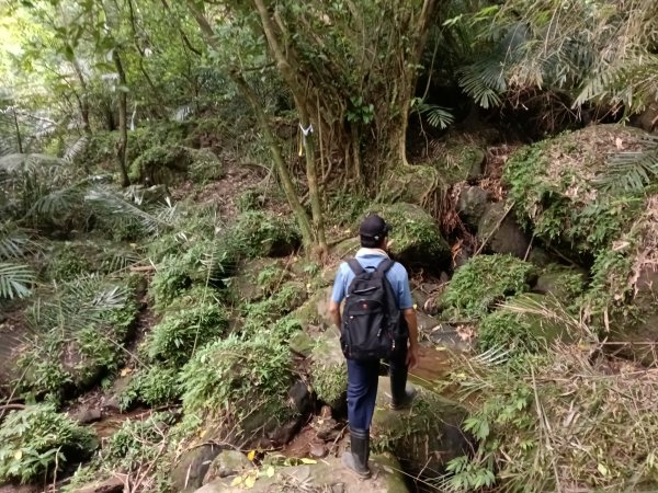 貢寮區龍洞坑古道+苦苓嶺+南雅山+海園古道O型2954613