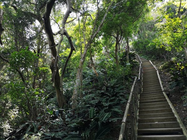 瓏美麗一週一步道（和美山-政大）567705