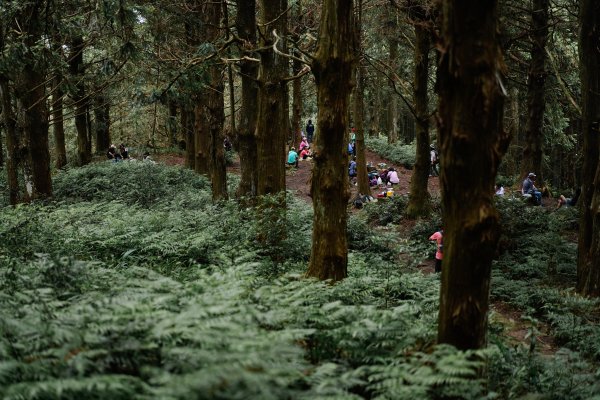 帶媽媽爬長壽山2669497