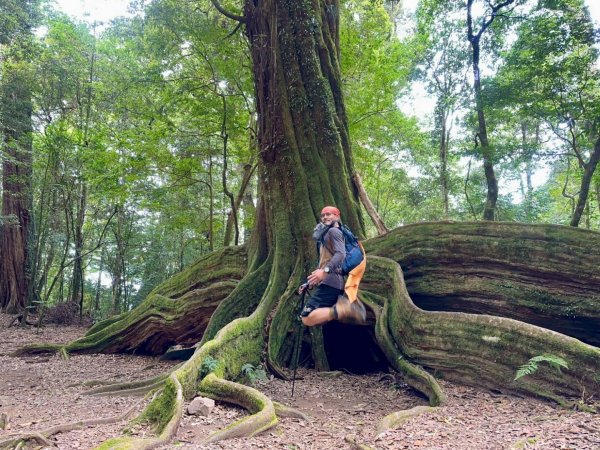 20251014雪見遊憩區 🚴‍♂️咖搭車走司馬限林道上東洗水山兩刷北坑山至大板根2916388